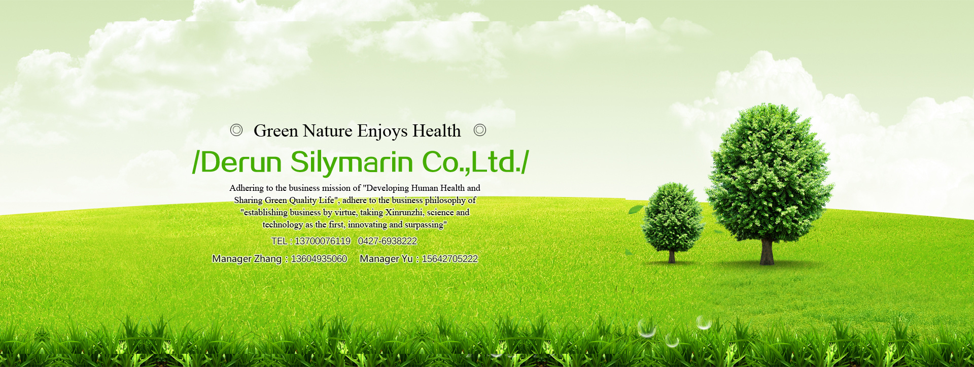 金年会金字招牌至上网站 Silymarin